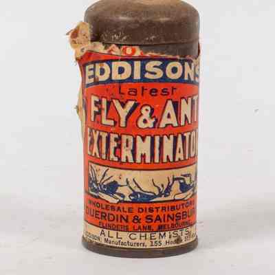 Flying Ant Exterminator