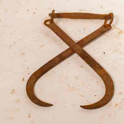 Ice Lifting Tongs
