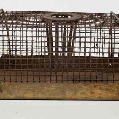 Metal Mousetrap