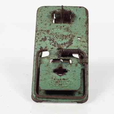 Tin Mousetrap