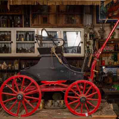 Goat Buggy