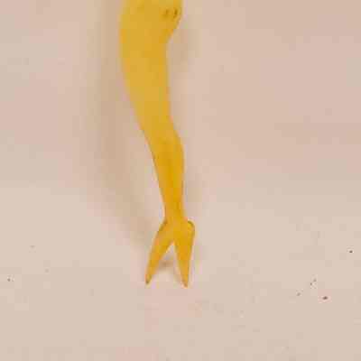 Tooth pick