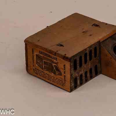 Mouse Trap