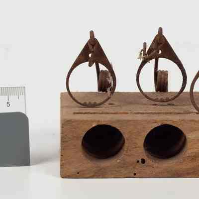 Wooden Mousetrap