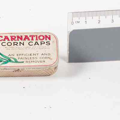 Carnation Corn Caps