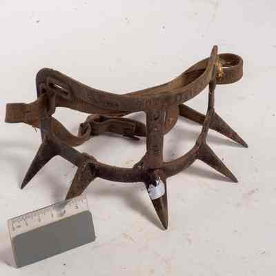 Weaning Ring
