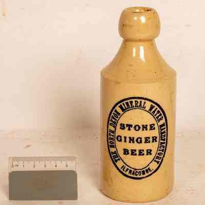 Ginger Beer Bottle