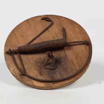 Wooden Mousetrap