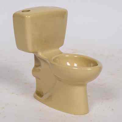 Ceramic toilet sample