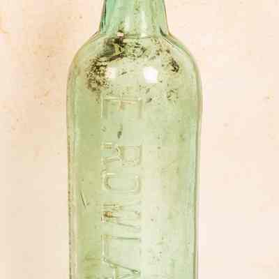 Bottle