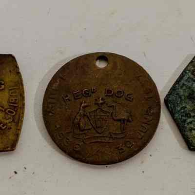 Dog registration tags