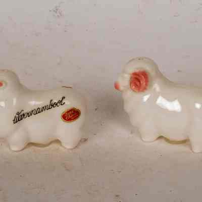 Salt and Pepper Shaker