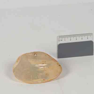 Pearl Shell