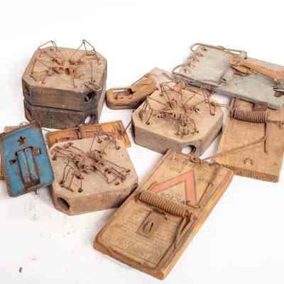 Mouse Traps