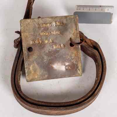 Camel registration tag