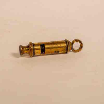 Whistle