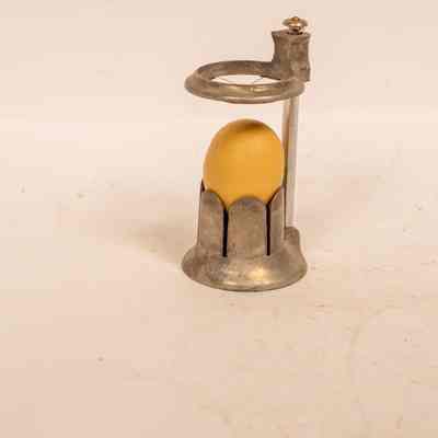 Egg divider