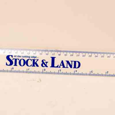 Ruler
