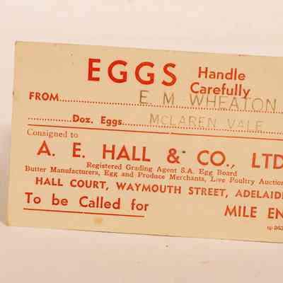 Eggs carrier