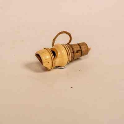 Whistle
