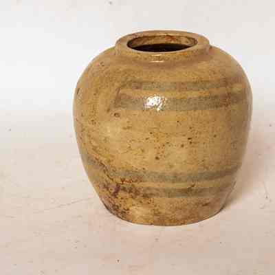 Ginger Jar