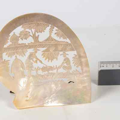 W.A Pearl shell