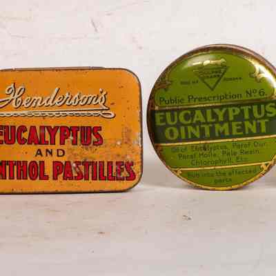 Eucalyptus tins