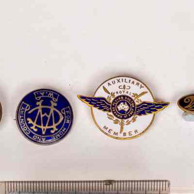 Badges