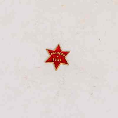 Enamel Badge
