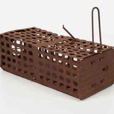 Tin mousetrap