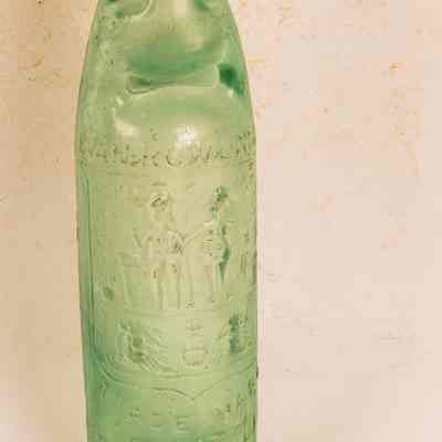 Bottle