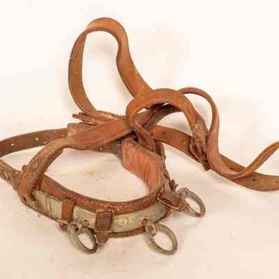 Leather Horses Halter