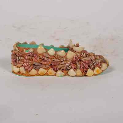 Shell Craft