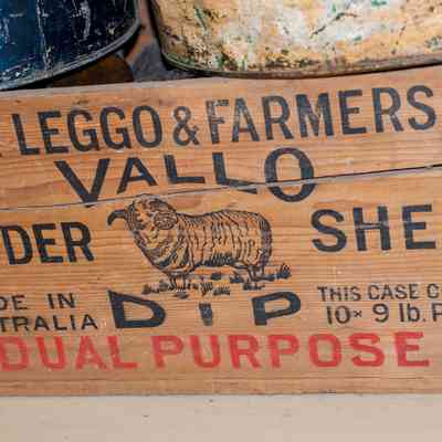 Victor Lego sheep dip box