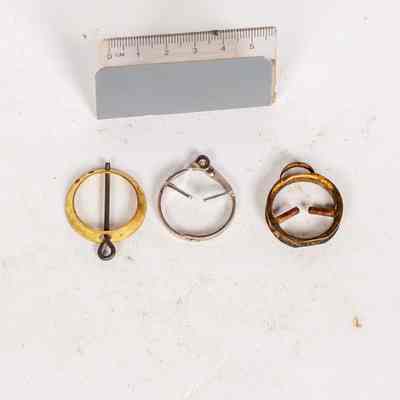 Ferret ring muzzles