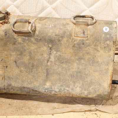 Horse water canteen