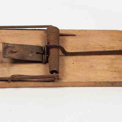 Wooden rat trap