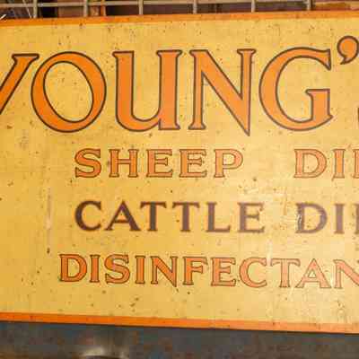 Tin plate