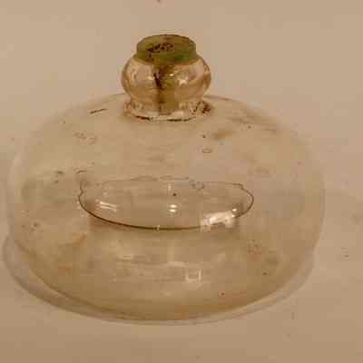 Small glas fly-catcher