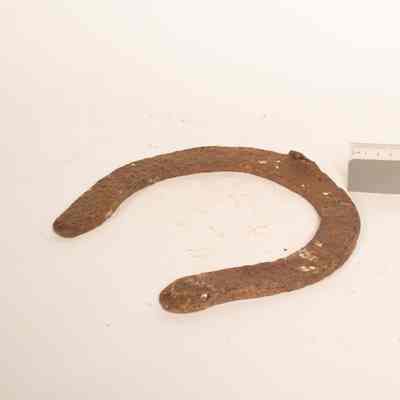 Horse Shoe