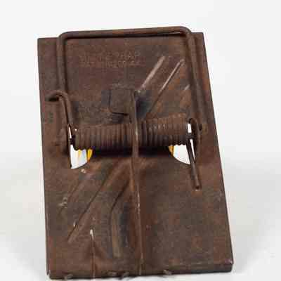 Tin rat trap