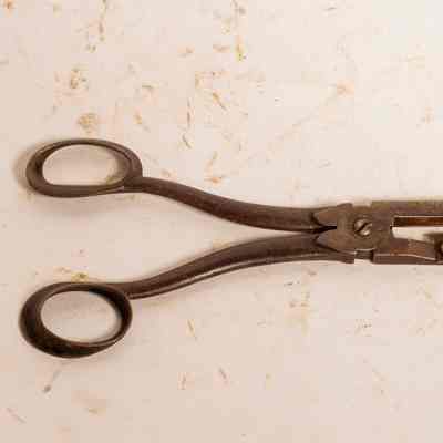 Scissors buttonhole