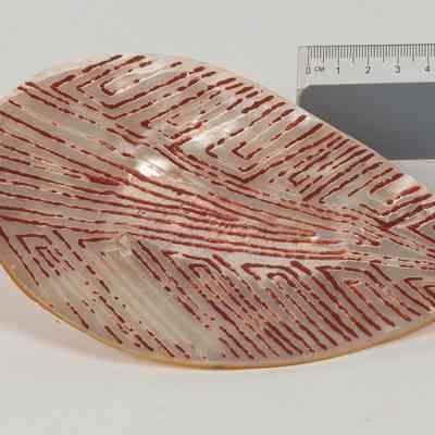 Pearl shell engraved