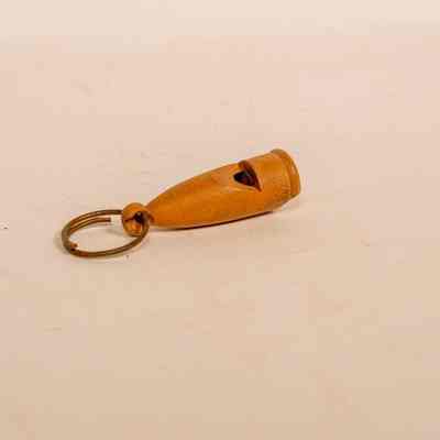 Whistle