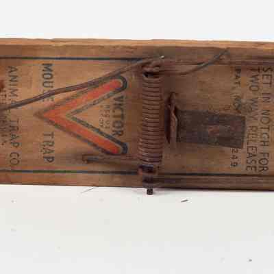Wooden Mousetrap