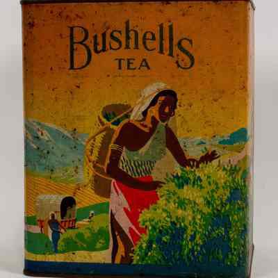Classical Shop Size Bushells Tea Tin