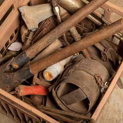 Mixed animal tools