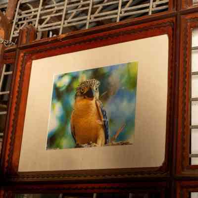 Trampart Picture frames