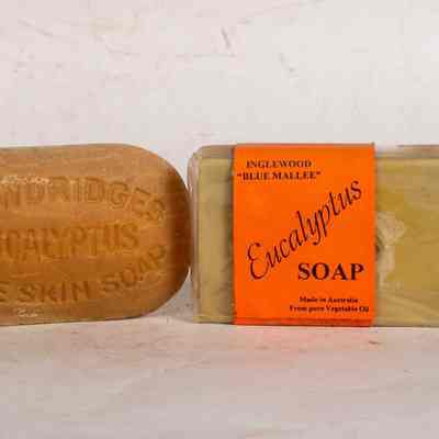 Eucalyptus soap