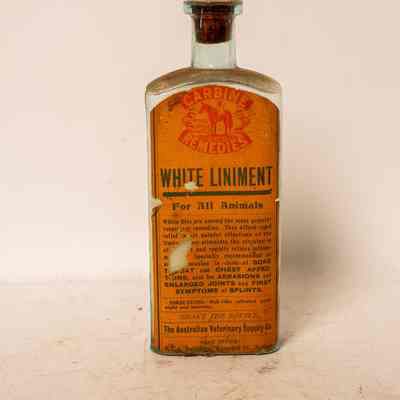 vertenary supplies
